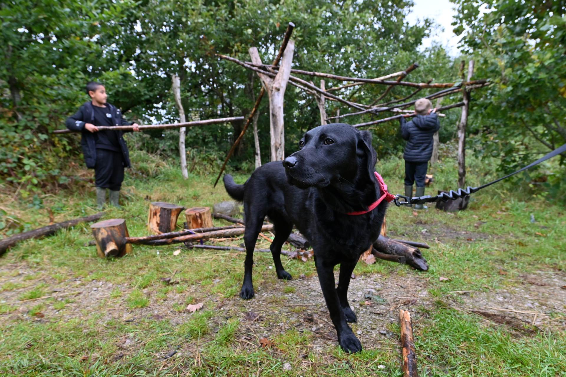 Forest School November 2024